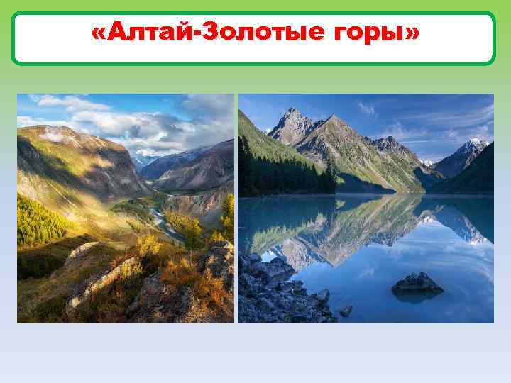  «Алтай-Золотые горы» 