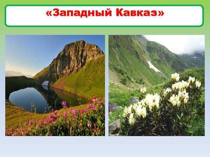  «Западный Кавказ» 