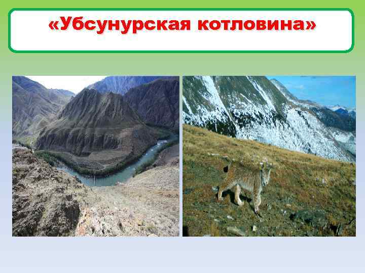  «Убсунурская котловина» 