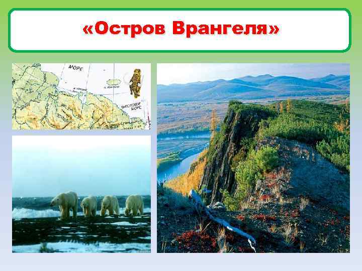  «Остров Врангеля» 