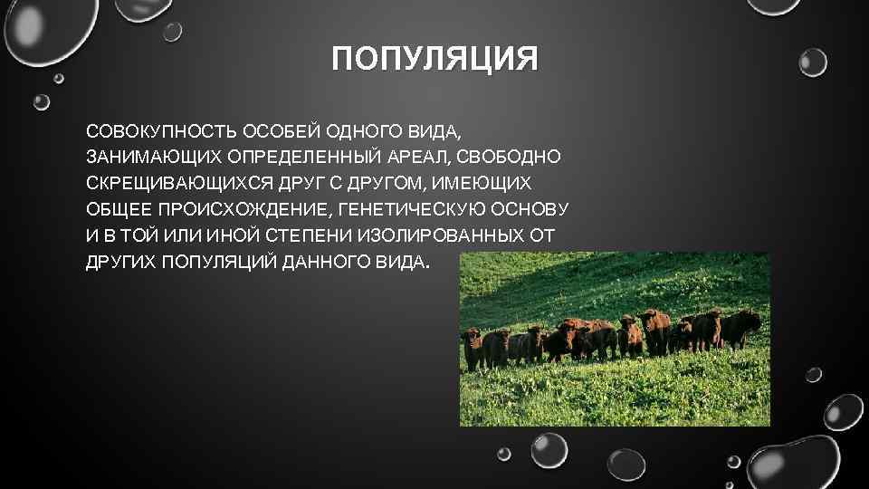 ПОПУЛЯЦИЯ СОВОКУПНОСТЬ ОСОБЕЙ ОДНОГО ВИДА, ЗАНИМАЮЩИХ ОПРЕДЕЛЕННЫЙ АРЕАЛ, СВОБОДНО СКРЕЩИВАЮЩИХСЯ ДРУГ С ДРУГОМ, ИМЕЮЩИХ