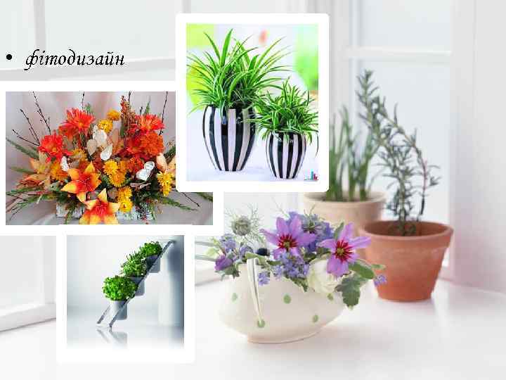  • фітодизайн 
