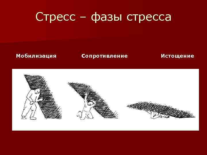 Стресс – фазы стресса Мобилизация Сопротивление Истощение 