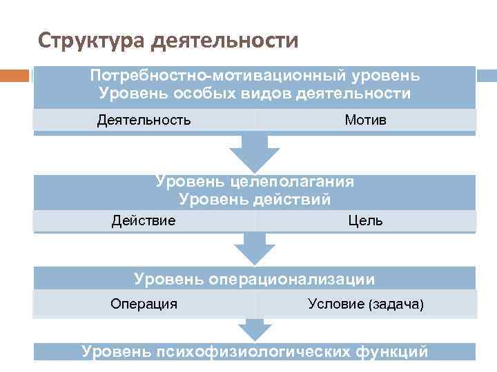 Структура деятельности Потребностно-мотивационный уровень Уровень особых видов деятельности Деятельность Мотив Уровень целеполагания Уровень действий