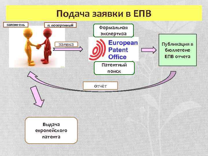 Подача заявки в ЕПВ заявитель п. поверенный Формальная экспертиза Публикация в бюллетене ЕПВ отчета