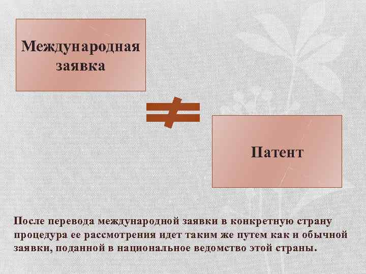 Международная заявка Патент После перевода международной заявки в конкретную страну процедура ее рассмотрения идет