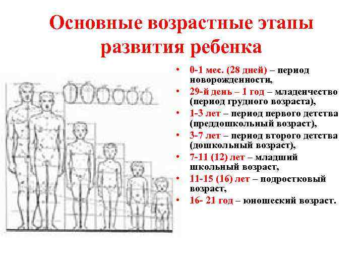 Основные возрастные этапы развития ребенка • 0 -1 мес. (28 дней) – период новорожденности,