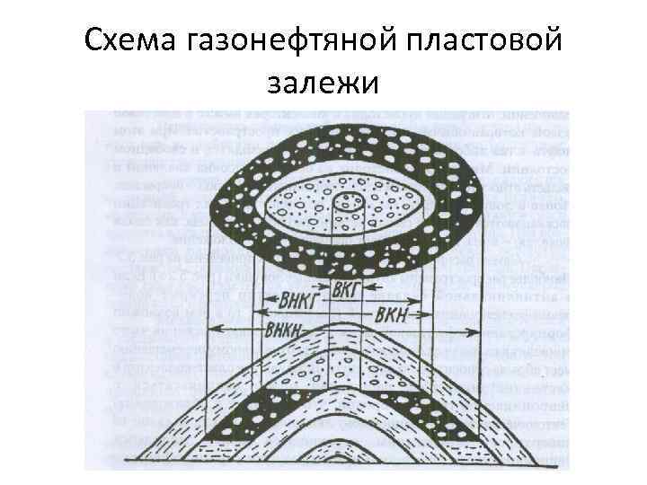 Схема газонефтяной пластовой залежи 