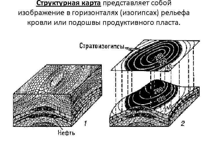 Структурная карта представляет собой изображение в горизонталях (изогипсах) рельефа кровли или подошвы продуктивного пласта.
