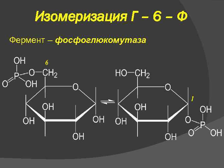 Изомеризация Г – 6 – Ф Фермент – фосфоглюкомутаза 