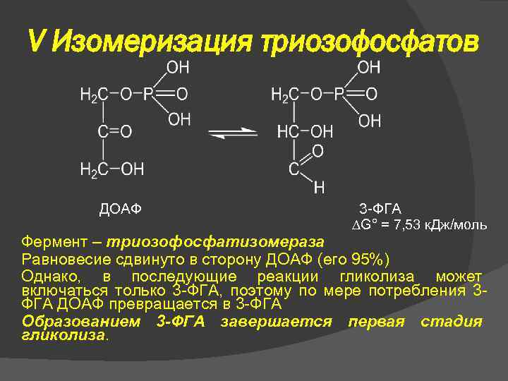 V Изомеризация триозофосфатов ДОАФ 3 -ФГА G° = 7, 53 к. Дж/моль Фермент –
