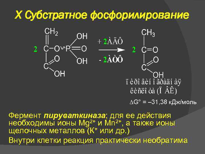 X Субстратное фосфорилирование G° = – 31, 38 к. Дж/моль Фермент пируваткиназа; для ее