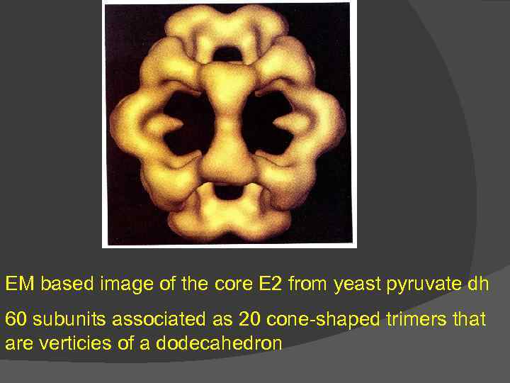 EM based image of the core E 2 from yeast pyruvate dh 60 subunits