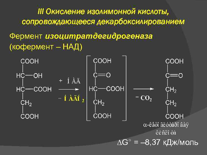 III Окисление изолимонной кислоты, сопровождающееся декарбоксилированием Фермент изоцитратдегидрогеназа (кофермент – НАД) G° = –