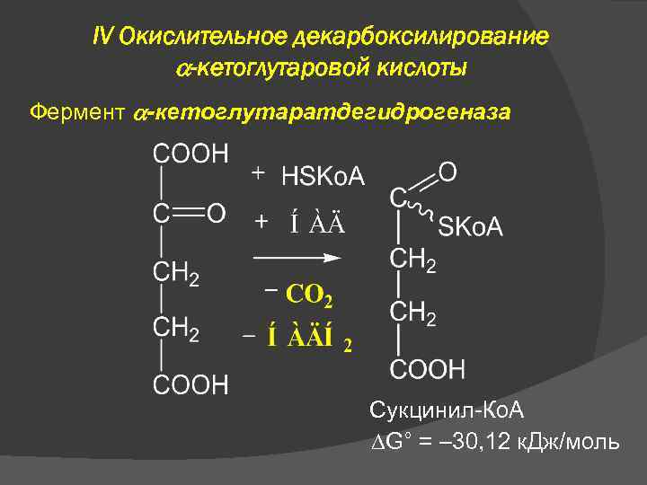 IV Окислительное декарбоксилирование -кетоглутаровой кислоты Фермент -кетоглутаратдегидрогеназа Сукцинил-Ко. А G° = – 30, 12