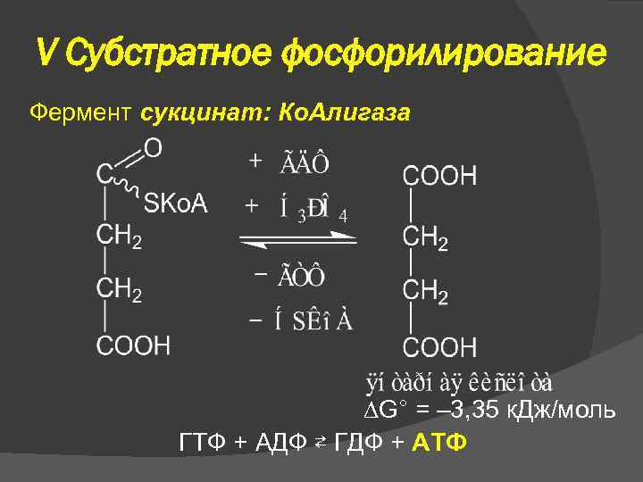 V Субстратное фосфорилирование Фермент сукцинат: Ко. Алигаза G° = – 3, 35 к. Дж/моль