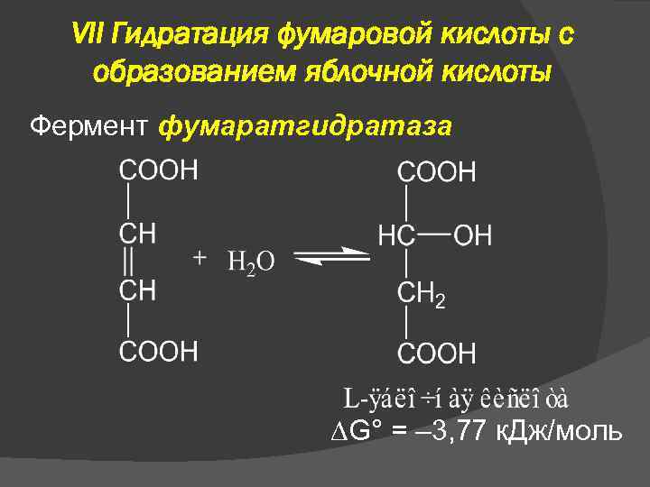 VII Гидратация фумаровой кислоты с образованием яблочной кислоты Фермент фумаратгидратаза G° = – 3,