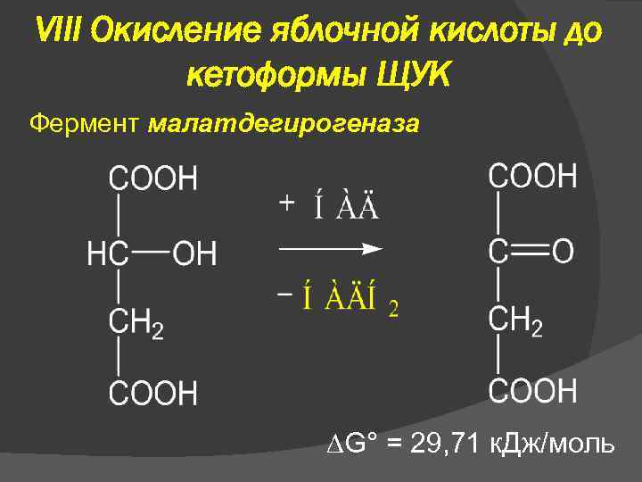 VIII Окисление яблочной кислоты до кетоформы ЩУК Фермент малатдегирогеназа G° = 29, 71 к.