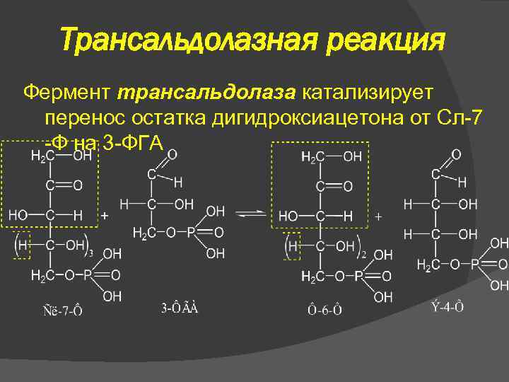 Трансальдолазная реакция Фермент трансальдолаза катализирует перенос остатка дигидроксиацетона от Сл-7 -Ф на 3 -ФГА