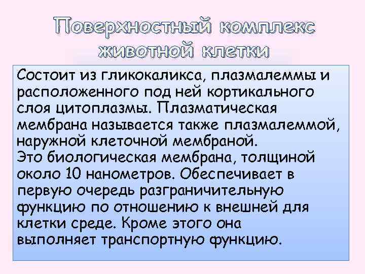 Поверхностный комплекс животной клетки Состоит из гликокаликса, плазмалеммы и расположенного под ней кортикального слоя
