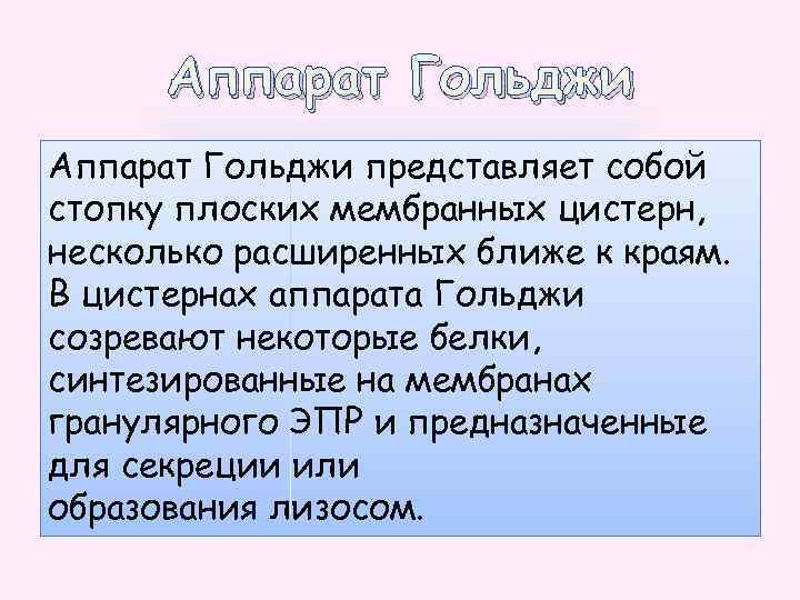 Аппарат Гольджи представляет собой стопку плоских мембранных цистерн, несколько расширенных ближе к краям. В