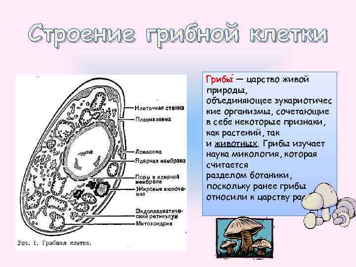 Соответствие электрических схем фактическим эксплуатационным должно проверяться не реже 1 раза в