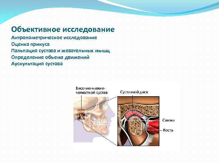 Объективное исследование Антропометрическое исследование Оценка прикуса Пальпация сустава и жевательных мышц Определение объема движений