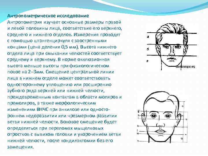 Антропометрическое исследование Антропометрия изучает основные размеры правой и левой половины лица, соответствие его верхнего,