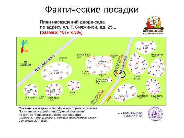 Фактические посадки 