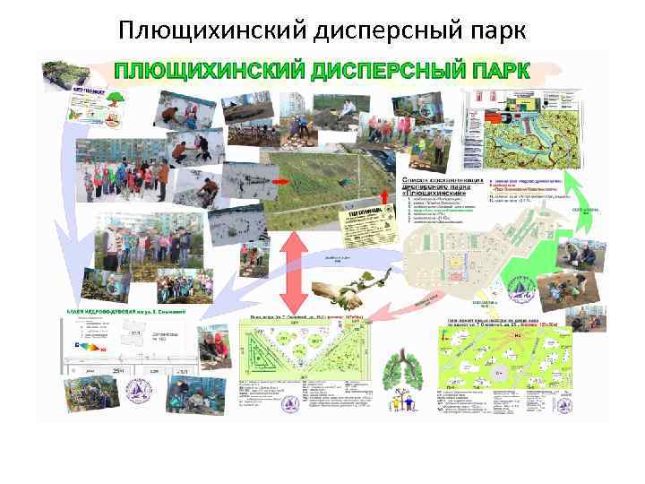 Плющихинский дисперсный парк 