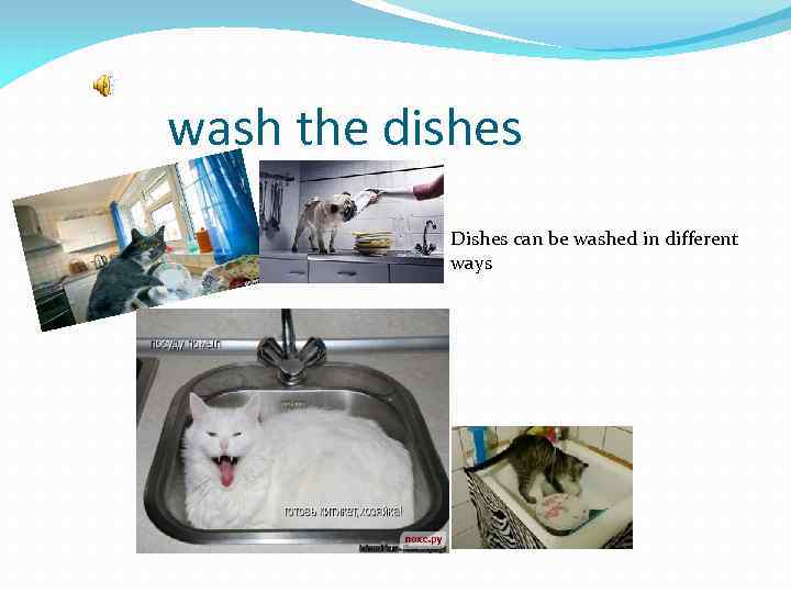 wash the dishes Dishes can be washed in different ways 