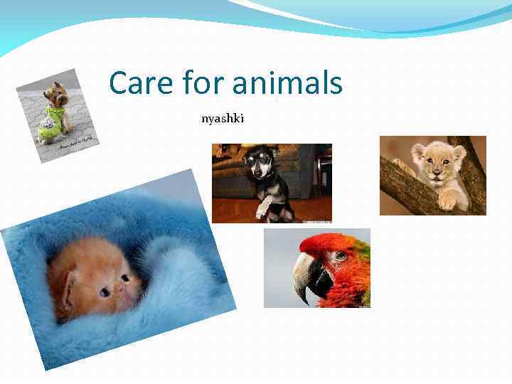Care for animals nyashki 