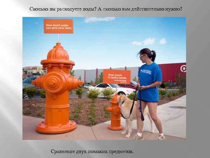 Сколько вы расходуете воды? А сколько вам действительно нужно? Сравнение двух похожих предметов. 