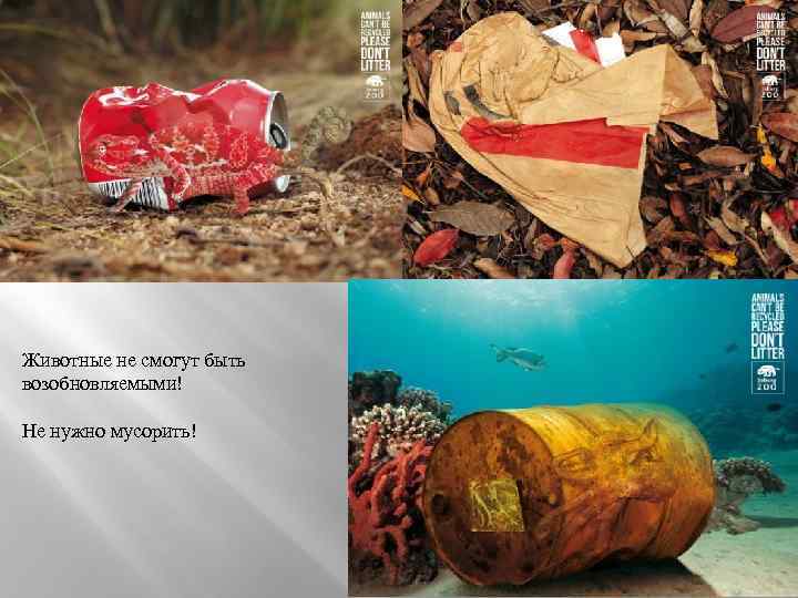 Животные не смогут быть возобновляемыми! Не нужно мусорить! 