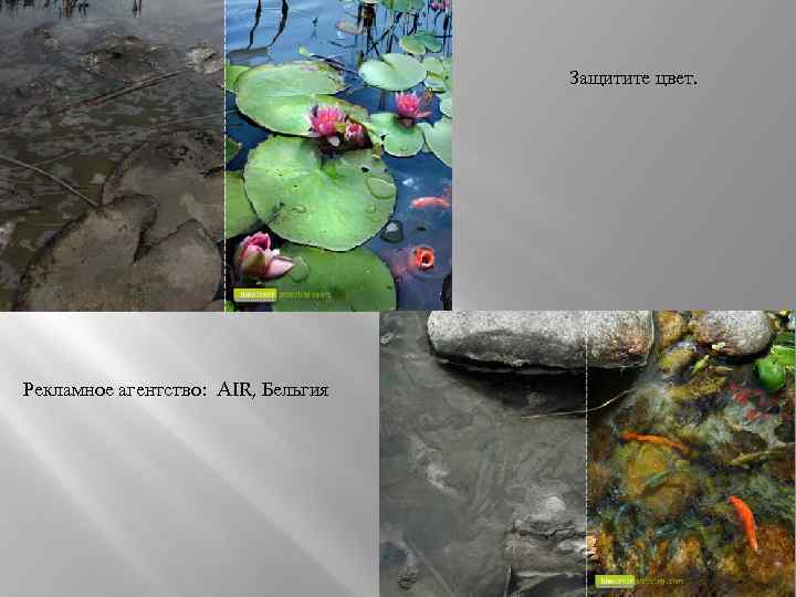 Защитите цвет. Рекламное агентство: AIR, Бельгия 