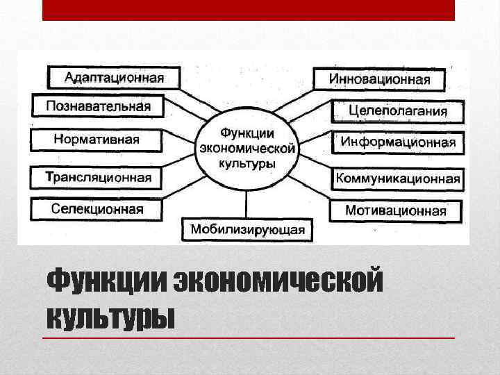 Функции экономической культуры 