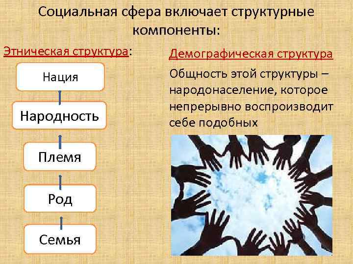 Социальная сфера включает структурные компоненты: Этническая структура: Нация Народность Племя Род Семья Демографическая структура