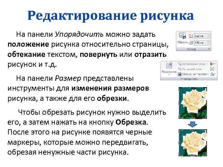 Редактирование рисунка На панели Упорядочить можно задать положение рисунка относительно страницы, обтекание текстом, повернуть