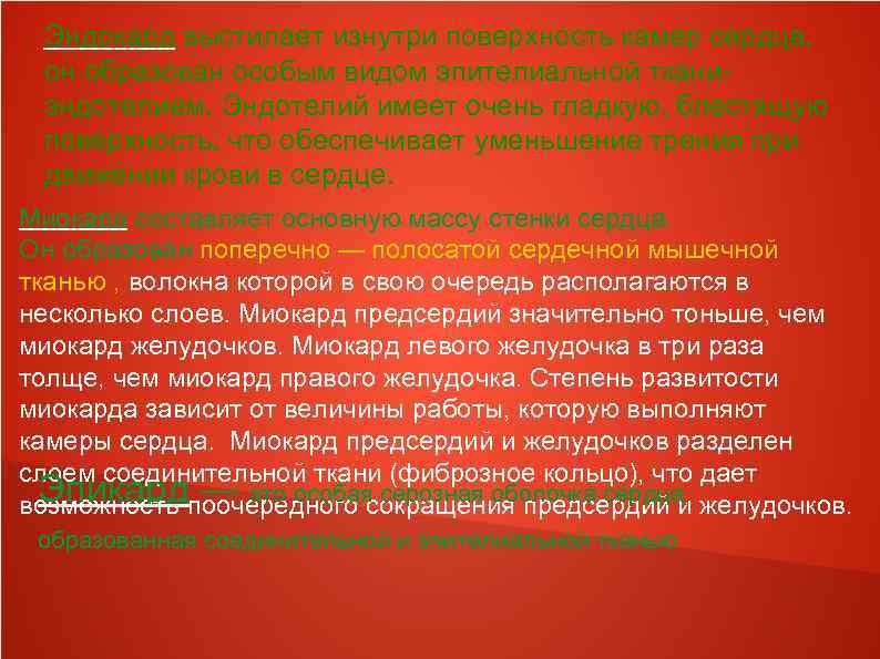 Эндокард выстилает изнутри поверхность камер сердца, он образован особым видом эпителиальной тканиэндотелием. Эндотелий имеет