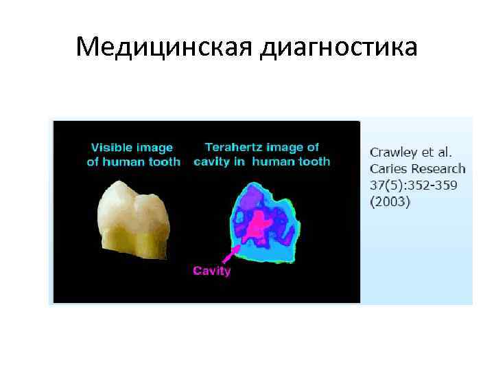 Медицинская диагностика 