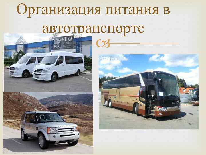 Организация питания в автотранспорте 