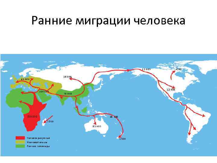 Ранние миграции человека 