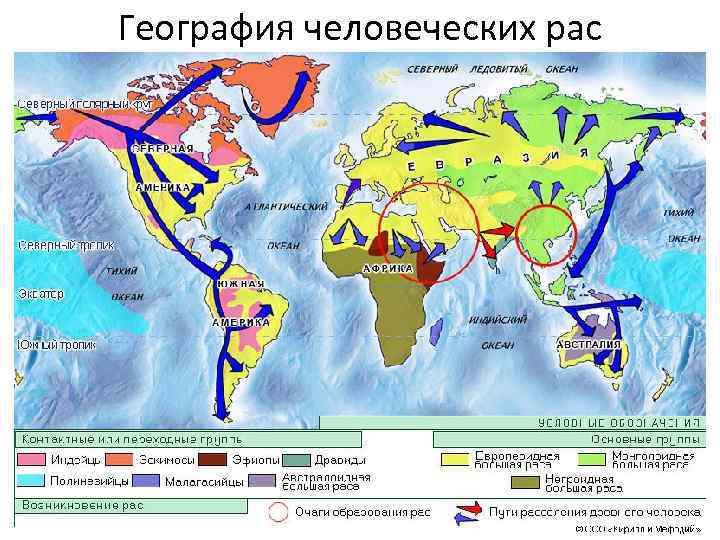 География человеческих рас 