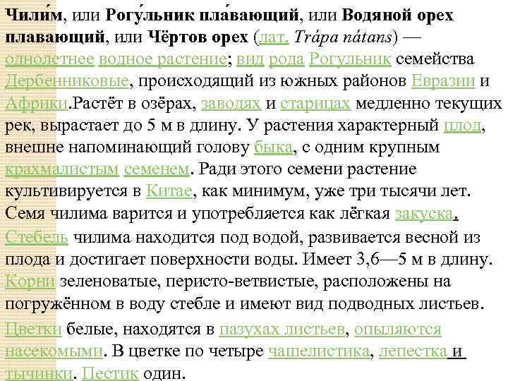 Чили м, или Рогу льник пла вающий, или Водяной орех плавающий, или Чёртов орех