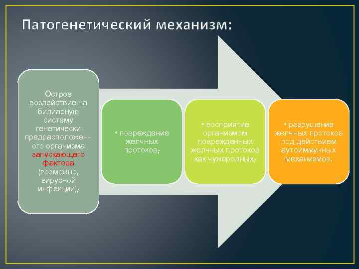 Патогенетический механизм: Острое воздействие на билиарную систему генетически предрасположенн ого организма запускающего фактора (возможно,