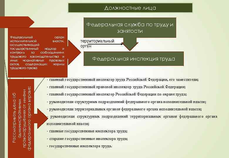 Должностные лица Федеральная служба по труду и занятости Федеральный орган исполнительной власти, осуществляющий государственный