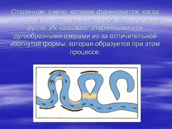 Старичное: озеро, которое формируется, когда широкая излучина ручья или реки образует новое русло. Их