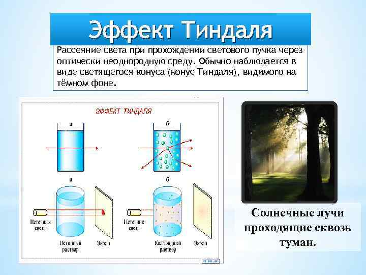 Укажите рисунок иллюстрирующий эффект тиндаля в коллоидном и истинном растворах