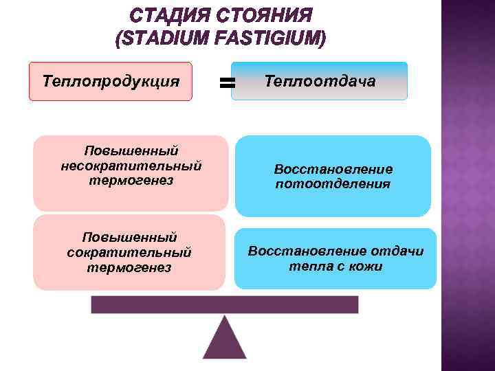 СТАДИЯ СТОЯНИЯ (STADIUM FASTIGIUM) Теплопродукция = Теплоотдача Повышенный несократительный термогенез Восстановление потоотделения Повышенный сократительный