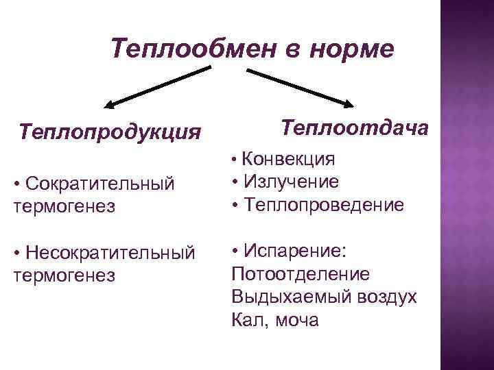 Теплообмен в норме Теплопродукция Теплоотдача • Конвекция • Сократительный термогенез • Излучение • Теплопроведение